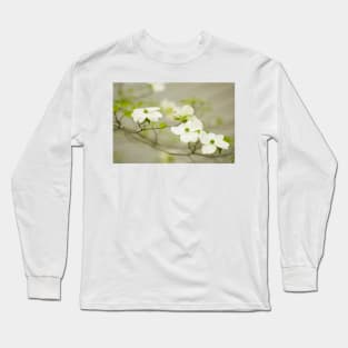 Flowering dogwood (Cornus florida) (C001/9618) Long Sleeve T-Shirt